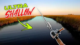 Sight Casting Aggressive Fish In ULTRA Shallow Water