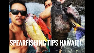 Spearfishing Hawaii - Tips for Beginners - Spearfishing Oahu
