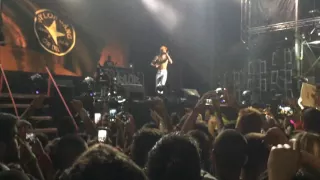Wiz Khalifa EXIT FESTIVAL 2016 LIVE