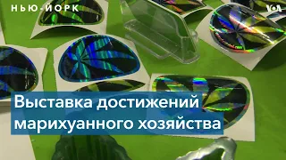 Неделя каннабиса в Нью-Йорке