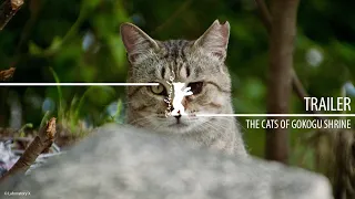 "The Cats of Gokogu Shrine" (Gokogu no Neko) | Trailer | Berlinale 2024