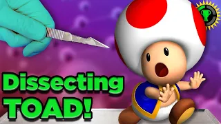 Game Theory: You Are WRONG About Toad!