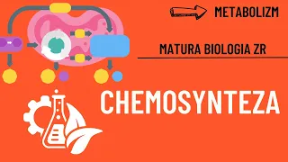 Chemosynteza. Matura Biologia ZR