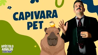 Capivara PET  - APÓSTOLO ARNALDO