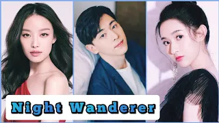 Night Wanderer - Chinese Drama