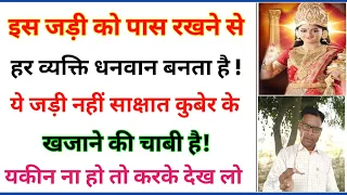 ये नहीं जड़ी कुबेर के खजाने की चाबी है // इसे पास रखने से हर व्यक्ति धनवान बनता है