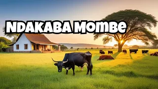 HOME AWAY FROM HOME: Ndakaba Mombe Kumafuro