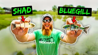 Ultimate Swimbait CHALLENGE - Shad vs Bluegill - Which One is BETTER??