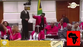 Chaos When The EFF Gets Fined for Disrupting Parliament