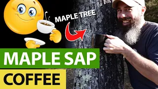 Coffee with Maple Sap - So Good!