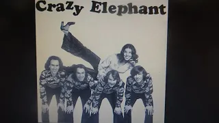 2019 CRAZY ELEPHANT  GIMME GIMME GOOD LOVIN