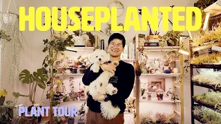 His home is packed to the brim with air plants. Take a look inside! | Houseplanted