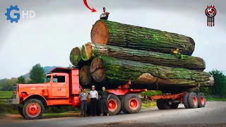 The Era of Kenworth as Kings of the Forest ▶ Kenworth 848, 849, 850 History