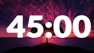 45 Minute Timer with Alarm, without music