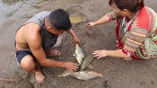 Primitive life: Find Fish Meet Many Fish Under Crawling Hole - Catch Fish LIVING OFF GRID