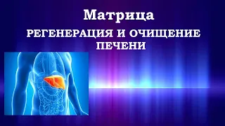 Матрица Гаряева💠Регенерация и Очищение Печени🍀Matrix Garyaev💠Regeneration and Cleansing of the Liver