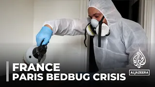 What is Paris doing to solve the bedbug crisis ahead of 2024 Olympic games?