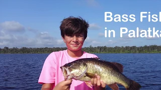 Bass Fishing Palatka, Fl