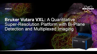 Bruker Vutara VXL: A Quantitative Super-Res Platform with Bi-Plane Detection and Multiplexed Imaging