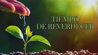 Tiempo De Reverdecer - Pastor Juan Carlos