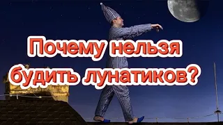 Почему нельзя будить  лунатиков⁉️😱 #жуткиефакты #жуть