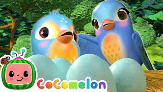 Five Little Birds Tweet Tweet Tweet! | CoComelon Animal Time | Animal Nursery Rhymes