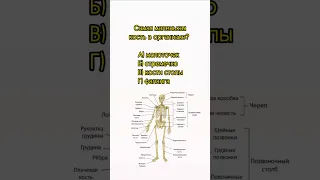 Сколько правильных ответов получилось у тебя?😀 #биология #егэ #егэ2023 #огэ #biology #shorts