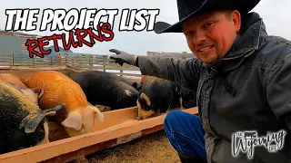 Pig Feeder Fix - The Return of the PROJECT LIST