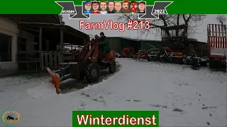 Farmvlog #213: Schnee räumen #LMSDV 03