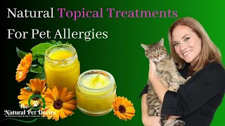 Best Home Remedies for Dog and Cat Allergies (Topical Herbal Treatments)