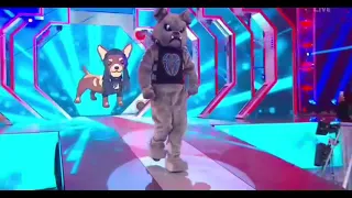 THE BIG DOG ENTRANCE