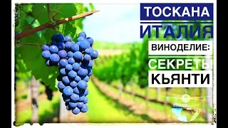 Италия Тоскана вино: винный тур в Италию и виноделие зоны Кьянти (Chianti Italia) #Авиамания