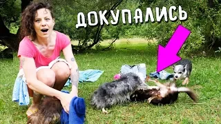 ДРАКА ЮМИ с СОФИ! КУПАЕМСЯ НА РЕЧКЕ СО ВСЕМИ СОБАКАМИ! ЭПИК ВЛОГ Magic Family