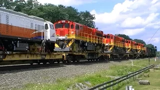 NS 098 In Cresson With Hornshow, Standard Cab EMD Duo, And Export GE's