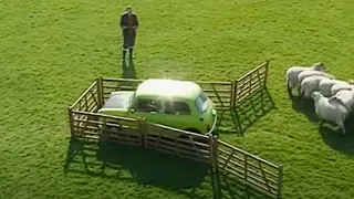 Herding Sheep! 🐑 | Mr Bean Funny Clips | Mr Bean Official