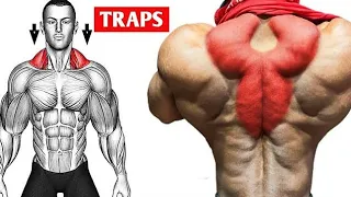 How to Get Bigger Traps | Workout for Traps | Traps Exercises