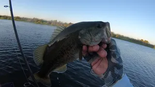 BASS FISHING ON THE CALIFORNIA DELTA