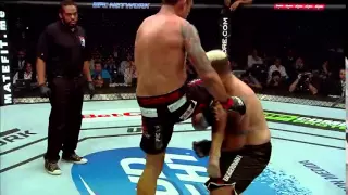 UFC 188 Cain Velasquez vs. Fabricio Werdum