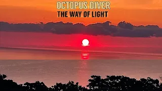 Octopus Diver - The Way of Light (2024) (New Full Album)