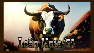 ♌ Leão Maio/24: Financeiro/Trabalho/Amor, Confie tudo vai dar certo mas faça a sua parte