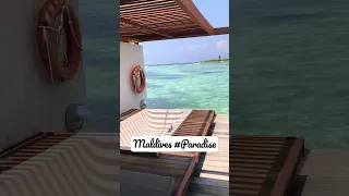 This is why Maldives beach resort is going viral 🏝️🏝️🏖️🏖️☀️☀️ #shorts #shortsvideo