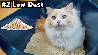 Pros and Cons of Tofu Cat Litter | The Cat Butler