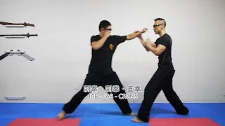 詠春應用 - 快速揮擊之基本對應技巧 Wing Chun vs Strike Mode - Basic Skill