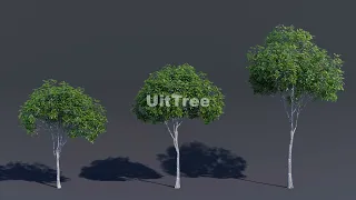 How to Make a Tree with Geometry Nodes in Blender | UitTree