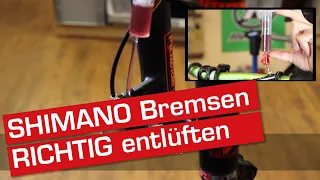 SHIMANO Bremsen (MTB) schnell und einfach entlüften [Deutsch] - XT BR-M8000