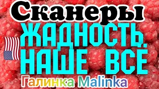 Сканеры /Жадность наше все /Обзор Влогов /