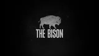 The Bison: A Badlands Film (Short Version)