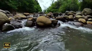 The sound of flowing water is calm and soothing and the sound of birds chirping