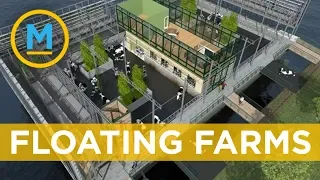 The world’s first floating farm will open in Rotterdam | Your Morning