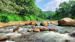 Relieve Stress with Peaceful river flowing over rocks, mountain stream nature sounds, Roaring river
